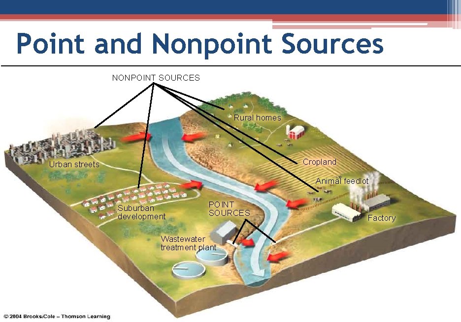 Point and Nonpoint Sources NONPOINT SOURCES Rural homes Cropland Urban streets Animal feedlot Suburban