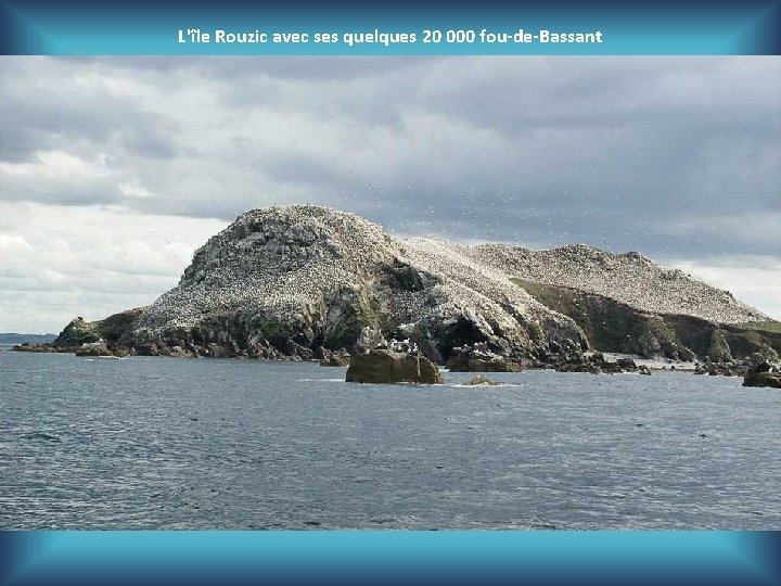 L'île Rouzic avec ses quelques 20 000 fou-de-Bassant 