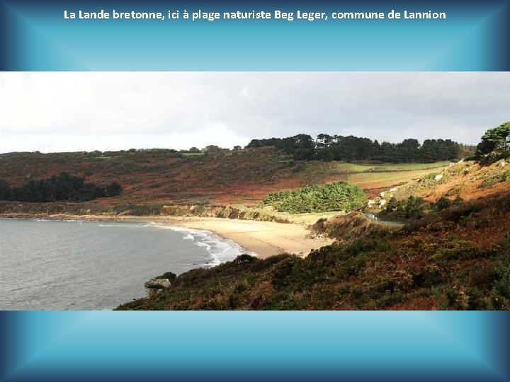 La Lande bretonne, ici à plage naturiste Beg Leger, commune de Lannion 