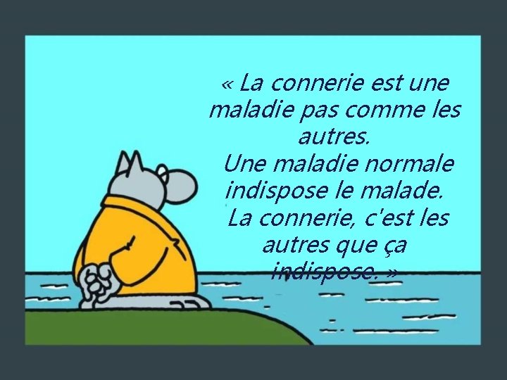  « La connerie est une maladie pas comme les autres. Une maladie normale