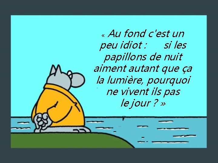 Au fond c'est un peu idiot : si les papillons de nuit aiment autant