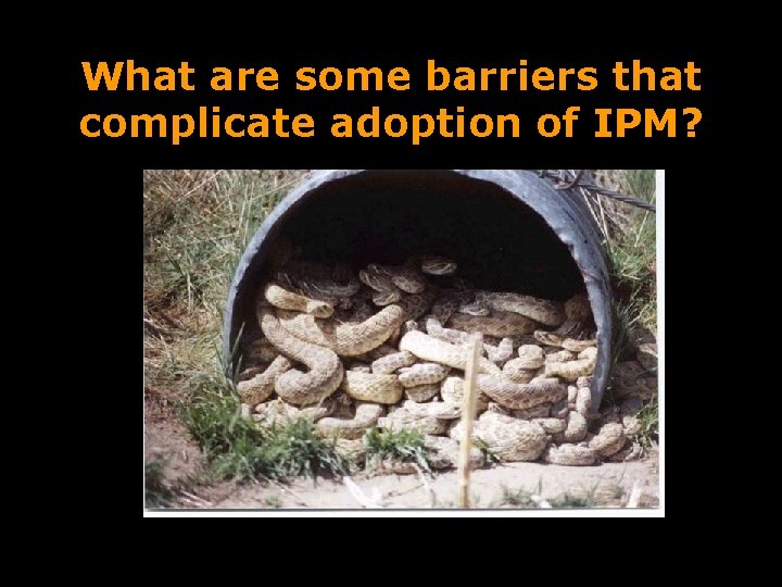 What are some barriers that complicate adoption of IPM? 