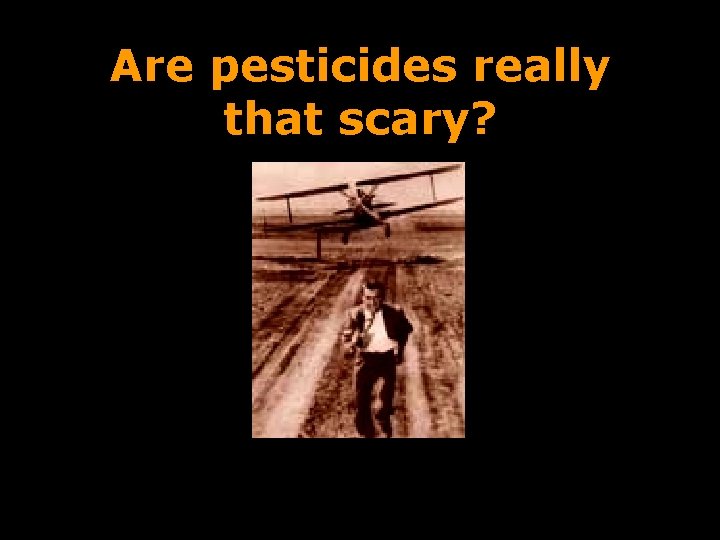 Are pesticides really that scary? 