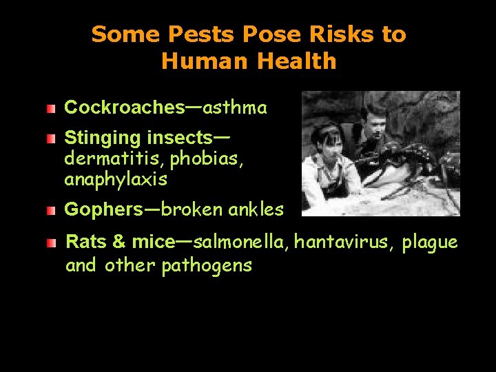 Some Pests Pose Risks to Human Health Cockroaches—asthma Stinging insects— dermatitis, phobias, anaphylaxis Gophers—broken