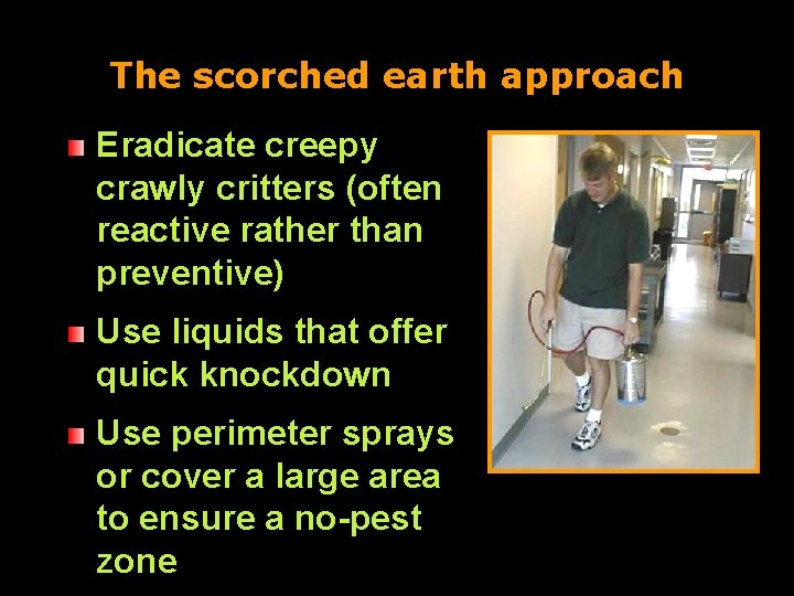 The scorched earth approach Eradicate creepy crawly critters (often reactive rather than preventive) Use