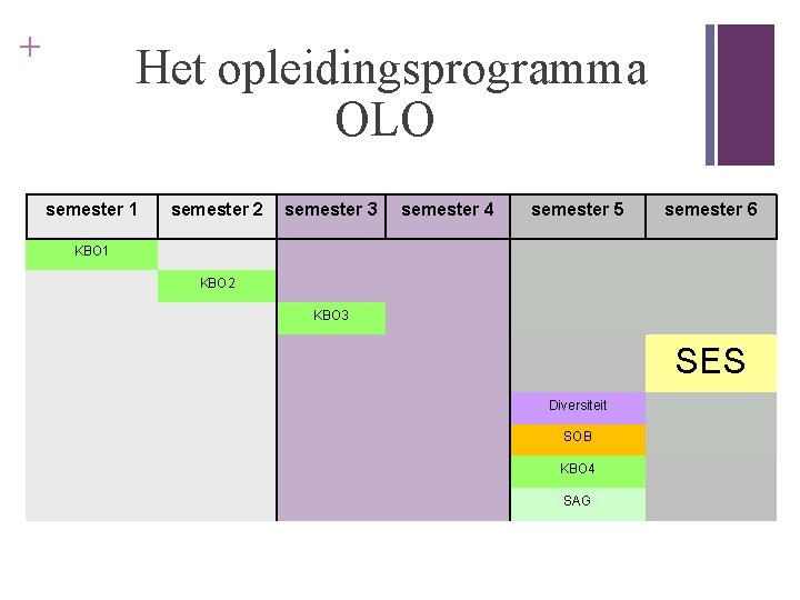 + Het opleidingsprogramma OLO semester 1 semester 2 semester 3 semester 4 semester 5