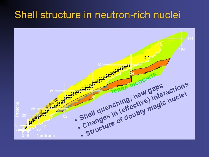 Shell structure in neutron-rich nuclei s s n p o i a g ct
