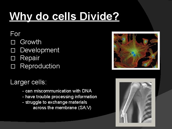 Why do cells Divide? For � Growth � Development � Repair � Reproduction Larger
