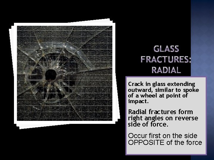 Crack in glass extending outward, similar to spoke of a wheel at point of