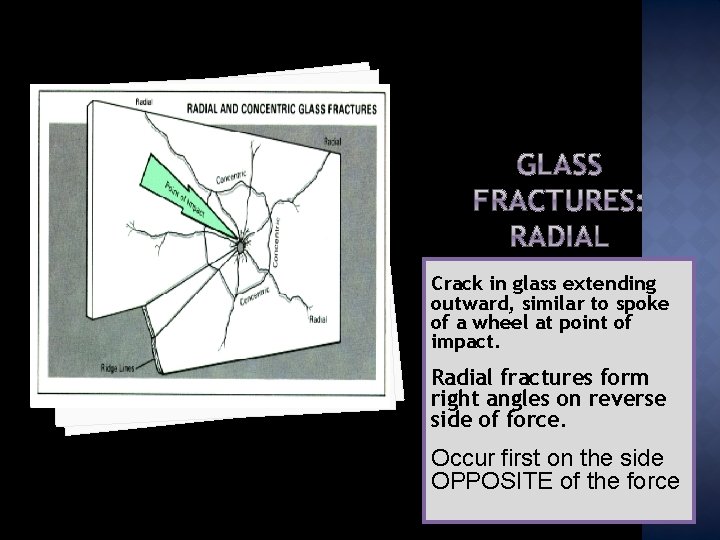 Crack in glass extending outward, similar to spoke of a wheel at point of