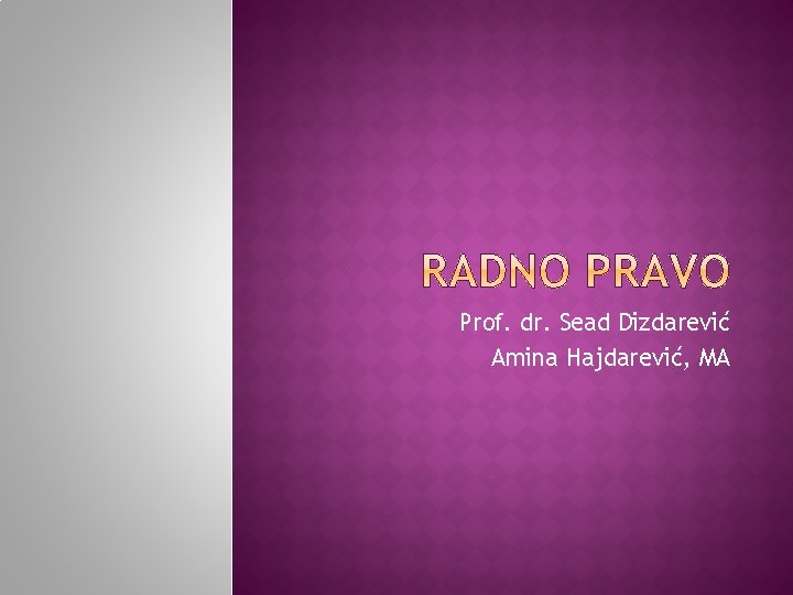 Prof. dr. Sead Dizdarević Amina Hajdarević, MA 