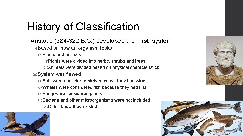 History of Classification • Aristotle (384 -322 B. C. ) developed the “first” system