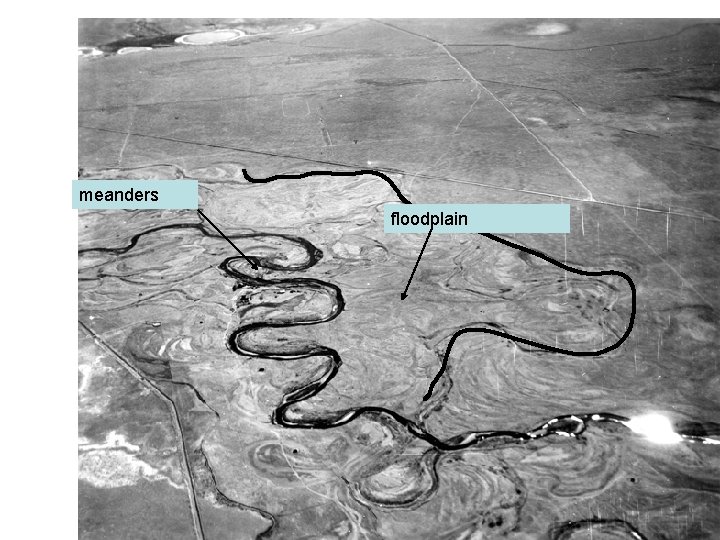 meanders floodplain 