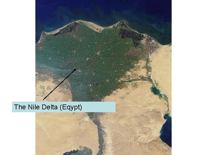 The Nile Delta (Eqypt) 