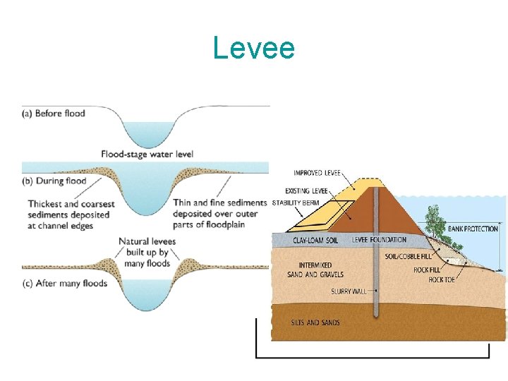 Levee 
