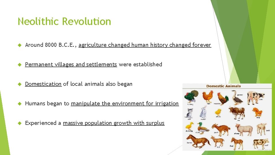 Neolithic Revolution Around 8000 B. C. E. , agriculture changed human history changed forever