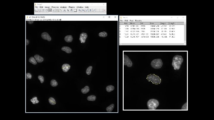 Measuring DNA Object Diameters 