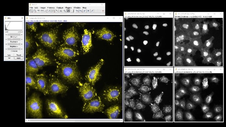 Analyzing AGP Channel 