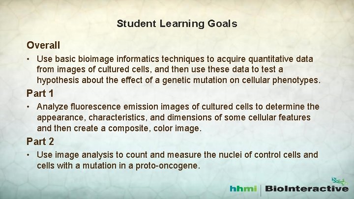 Student Learning Goals Overall • Use basic bioimage informatics techniques to acquire quantitative data