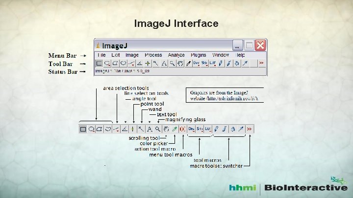 Image. J Interface 