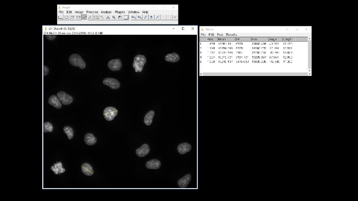 Measuring DNA Object Diameters 