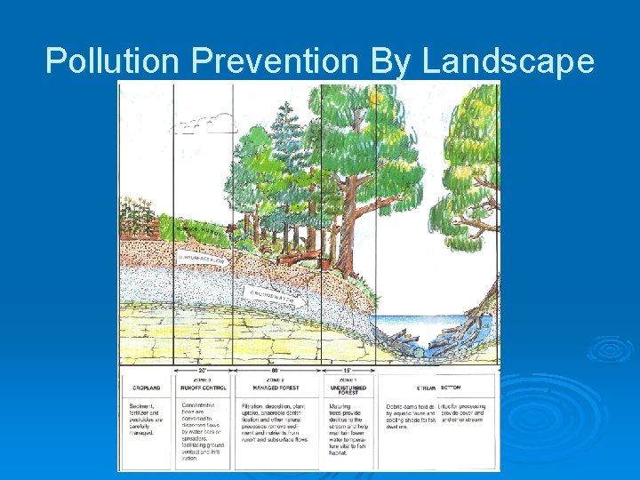 Pollution Prevention By Landscape 