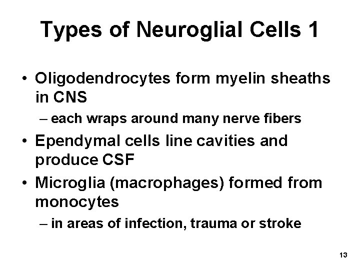 Types of Neuroglial Cells 1 • Oligodendrocytes form myelin sheaths in CNS – each