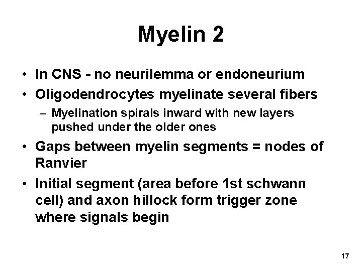 Myelin 2 • In CNS - no neurilemma or endoneurium • Oligodendrocytes myelinate several