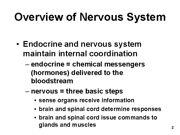 Overview of Nervous System • Endocrine and nervous system maintain internal coordination – endocrine