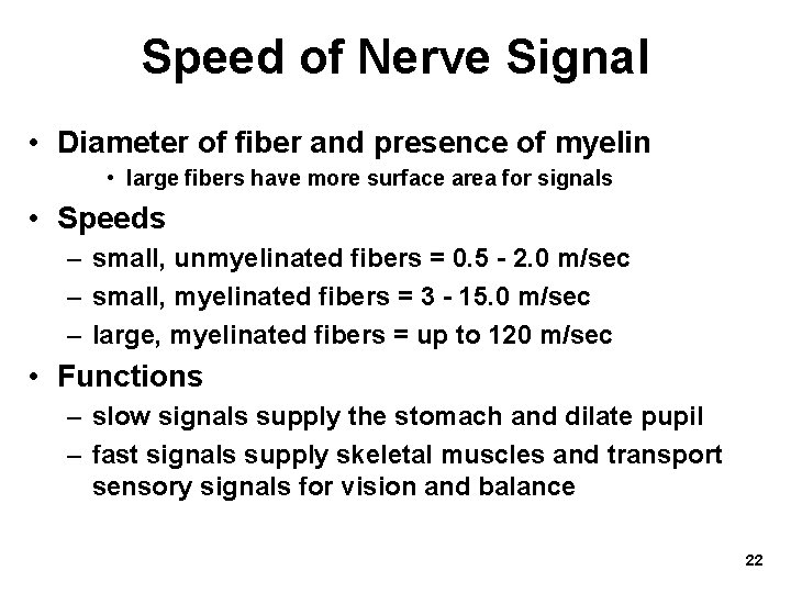 Speed of Nerve Signal • Diameter of fiber and presence of myelin • large