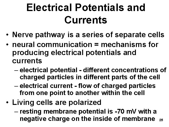 Electrical Potentials and Currents • Nerve pathway is a series of separate cells •