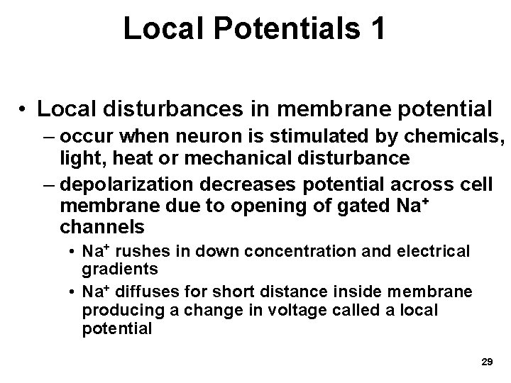 Local Potentials 1 • Local disturbances in membrane potential – occur when neuron is