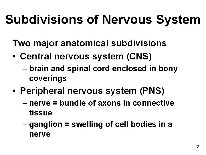 Subdivisions of Nervous System Two major anatomical subdivisions • Central nervous system (CNS) –