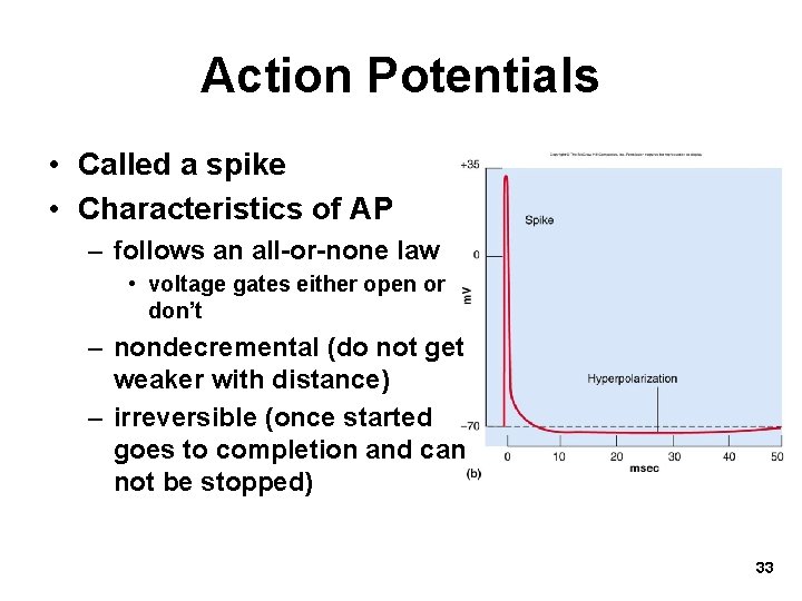 Action Potentials • Called a spike • Characteristics of AP – follows an all-or-none