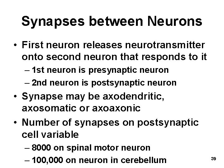 Synapses between Neurons • First neuron releases neurotransmitter onto second neuron that responds to