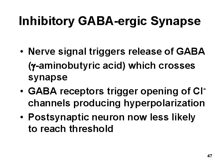 Inhibitory GABA-ergic Synapse • Nerve signal triggers release of GABA ( -aminobutyric acid) which