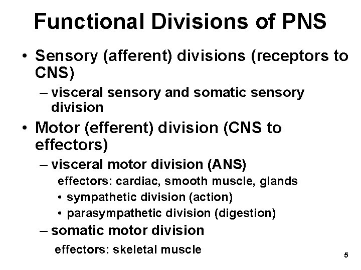 Functional Divisions of PNS • Sensory (afferent) divisions (receptors to CNS) – visceral sensory