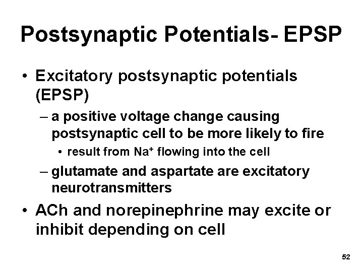 Postsynaptic Potentials- EPSP • Excitatory postsynaptic potentials (EPSP) – a positive voltage change causing