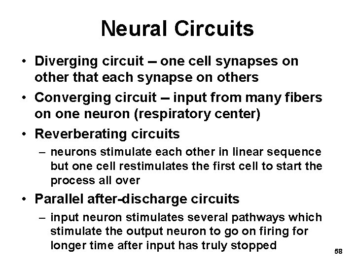 Neural Circuits • Diverging circuit -- one cell synapses on other that each synapse