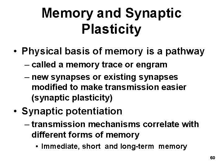 Memory and Synaptic Plasticity • Physical basis of memory is a pathway – called