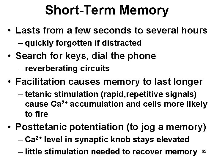 Short-Term Memory • Lasts from a few seconds to several hours – quickly forgotten