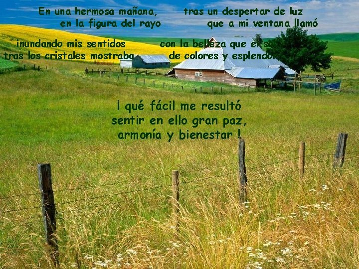 En una hermosa mañana, en la figura del rayo inundando mis sentidos tras los