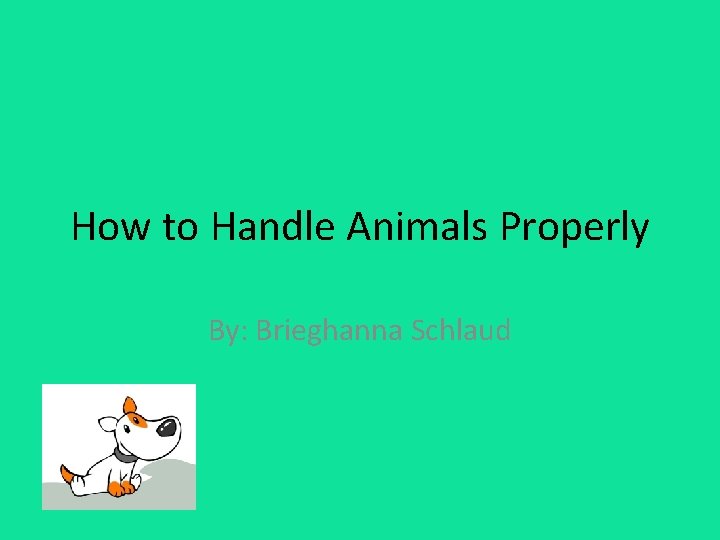 How to Handle Animals Properly By: Brieghanna Schlaud 