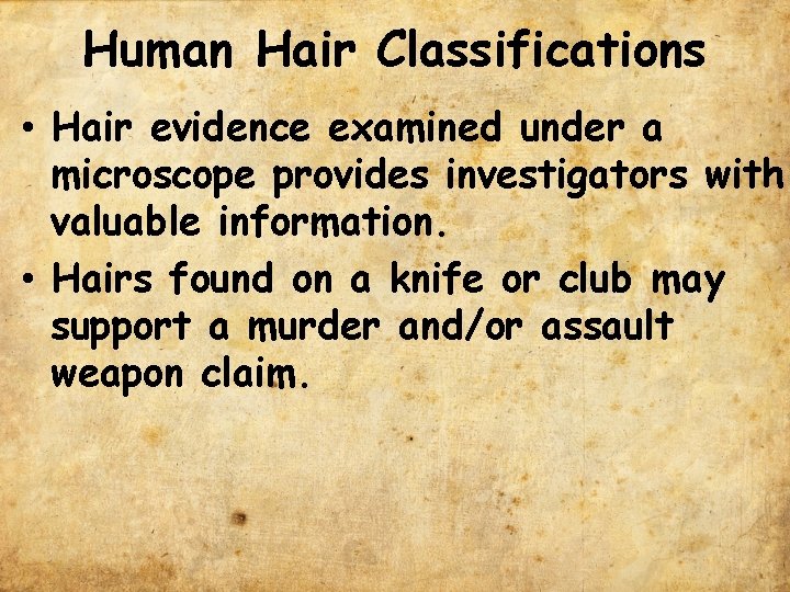 Human Hair Classifications • Hair evidence examined under a microscope provides investigators with valuable