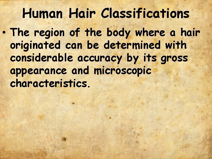 Human Hair Classifications • The region of the body where a hair originated can