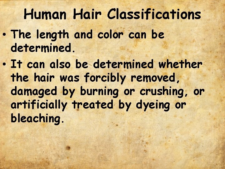 Human Hair Classifications • The length and color can be determined. • It can