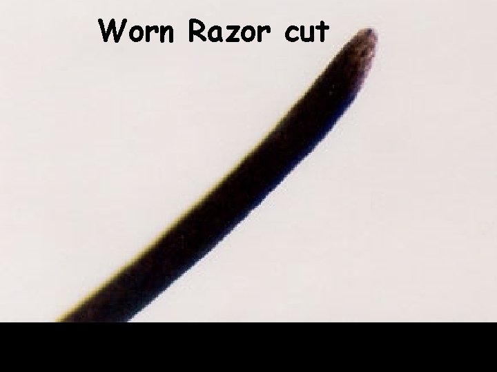 Worn Razor cut 