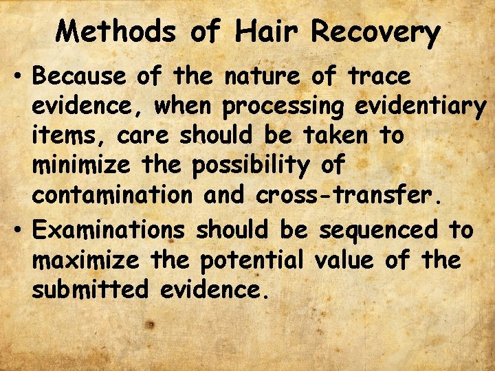 Methods of Hair Recovery • Because of the nature of trace evidence, when processing