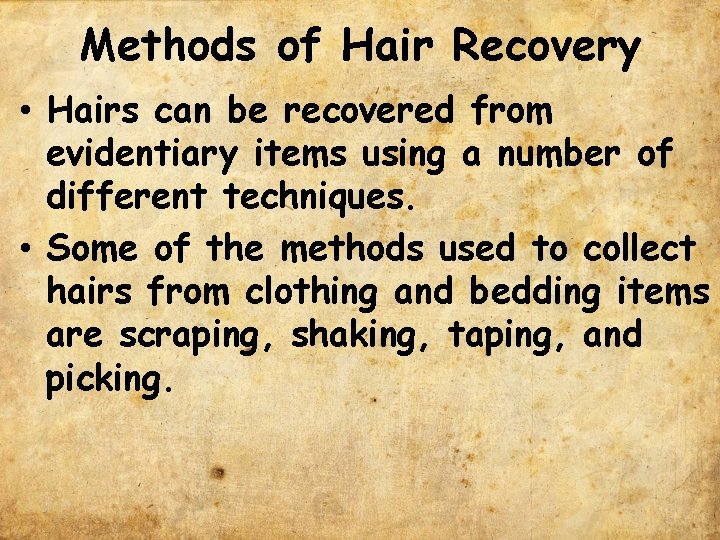 Methods of Hair Recovery • Hairs can be recovered from evidentiary items using a