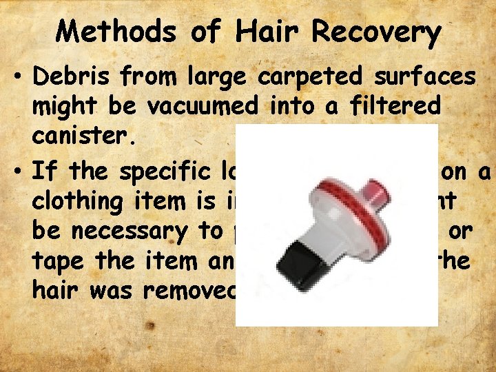 Methods of Hair Recovery • Debris from large carpeted surfaces might be vacuumed into